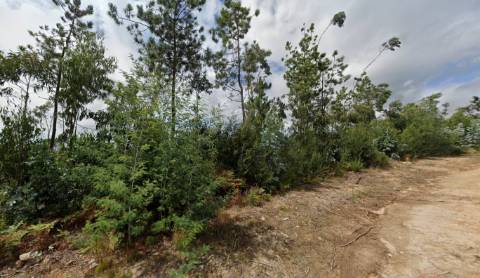 Terreno em S. Vicente de Pereira