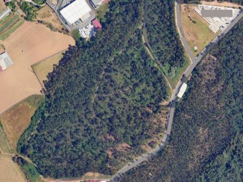 Terreno em S. Vicente de Pereira