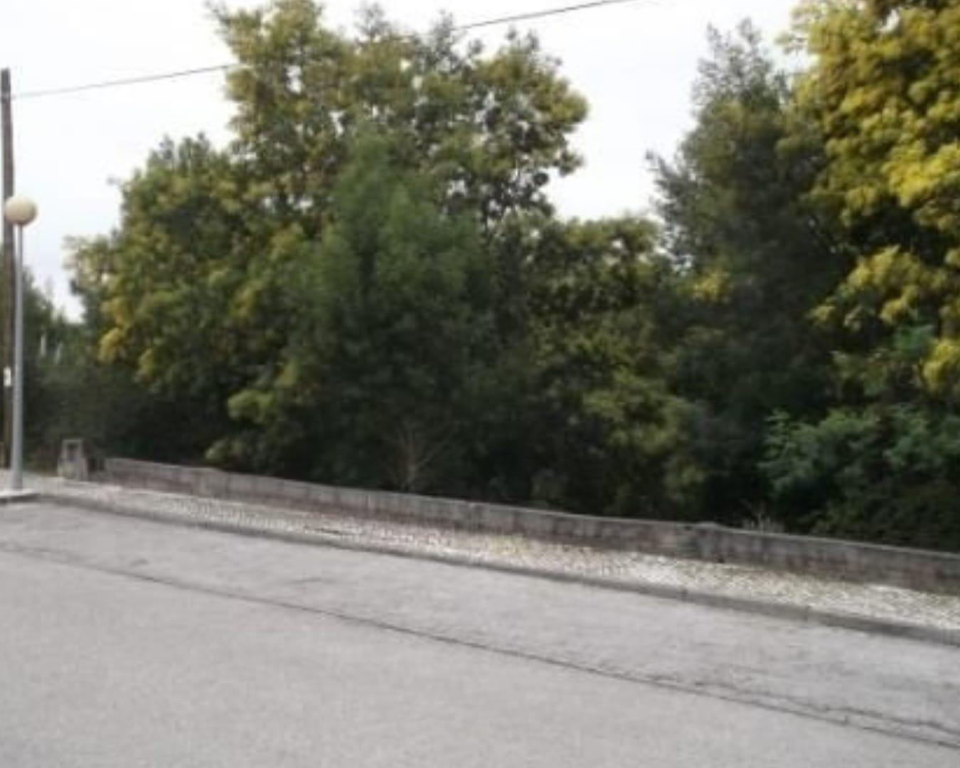 Terreno Urbano no Luso