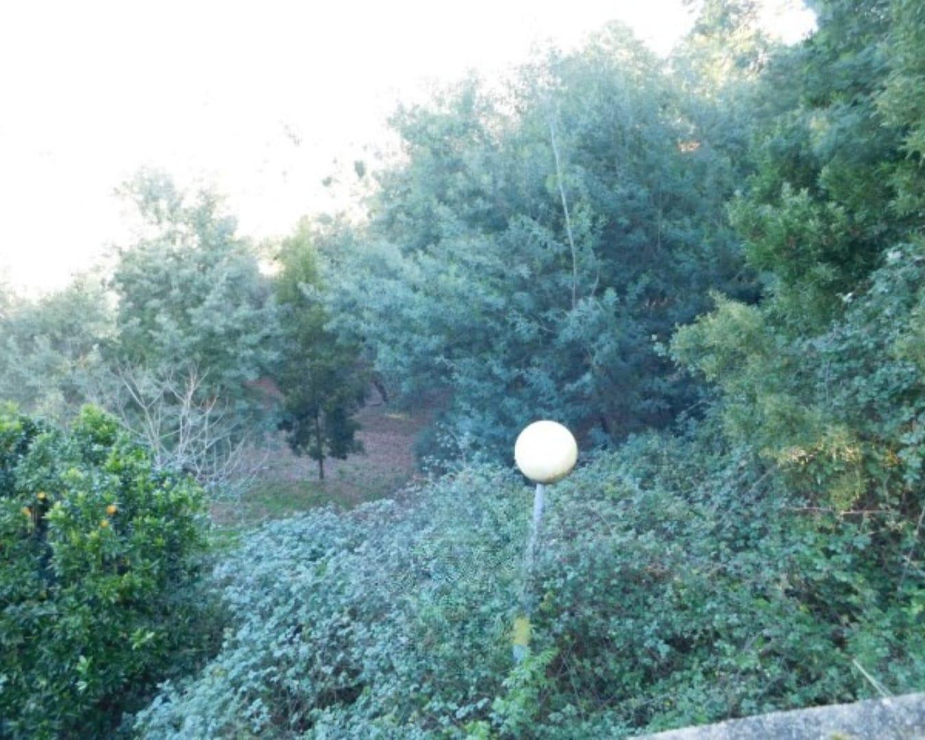 Terreno Urbano no Luso