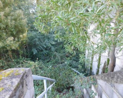 Terreno Urbano no Luso