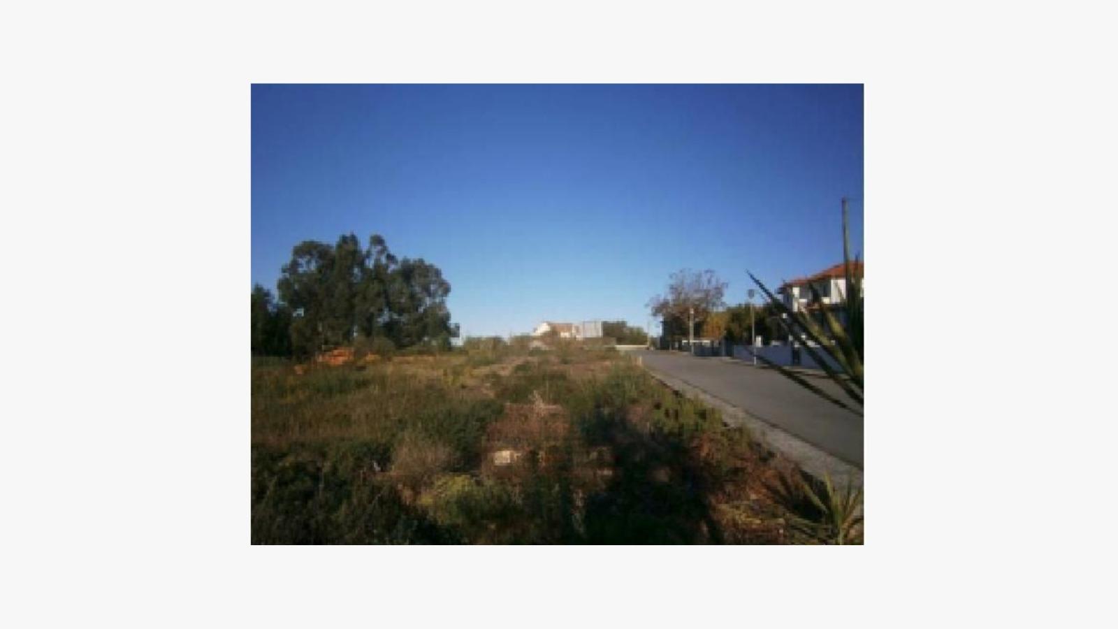 Terreno Urbano em Águeda