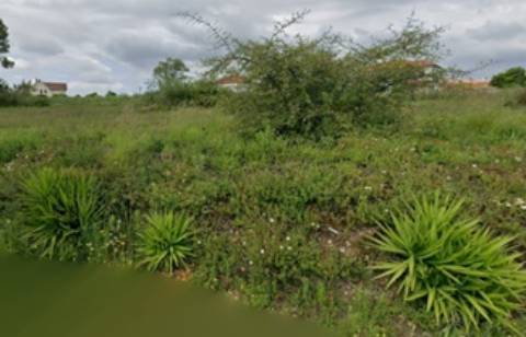 Terreno Urbano em Águeda