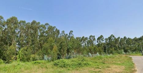 Terreno Urbano em Albergaria-a-Velha