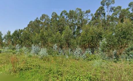 Terreno Urbano em Albergaria-a-Velha