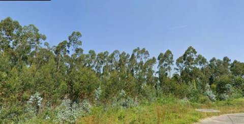 Terreno Urbano em Albergaria-a-Velha