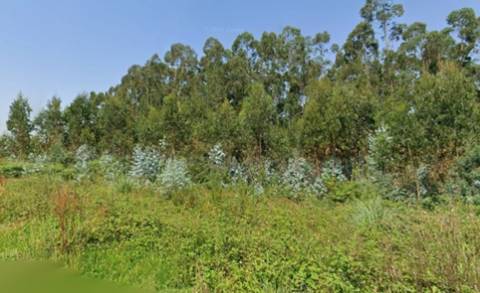 Terreno Urbano em Albergaria-a-Velha