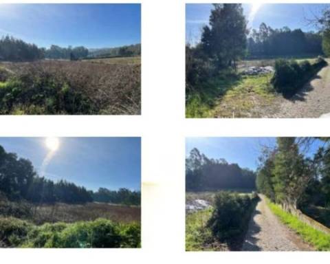 Terreno Rústico na Trofa