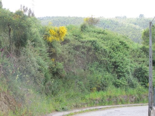 Terreno Urbano em Santo Tirso