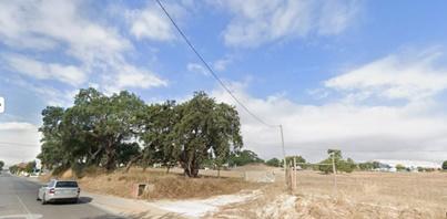 Terreno Rústico em Setúbal