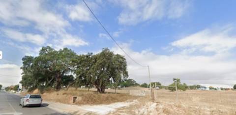 Terreno Rústico em Setúbal