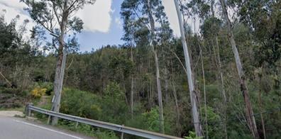 Terreno Rústico em Lordelo, Paredes