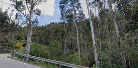 Terreno Rústico em Lordelo, Paredes