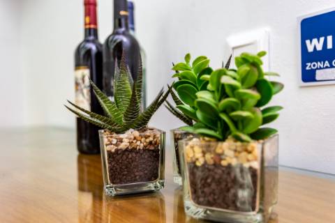 | Oportunidade || Restaurante || Zona Prime Telheiras |