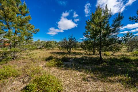 || Terreno para Loteamento | PIP Aprovado | AIRES - PALMELA ||