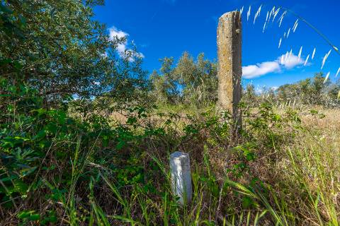 || Terreno para Loteamento | PIP Aprovado | AIRES - PALMELA ||