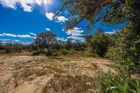 || Terreno para Loteamento | PIP Aprovado | AIRES - PALMELA ||