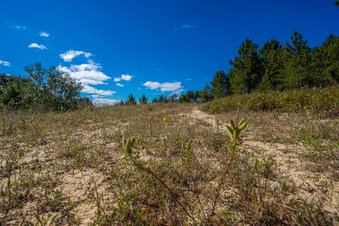 || Terreno para Loteamento | PIP Aprovado | AIRES - PALMELA ||