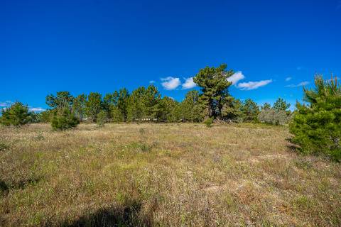 || Terreno para Loteamento | PIP Aprovado | AIRES - PALMELA ||