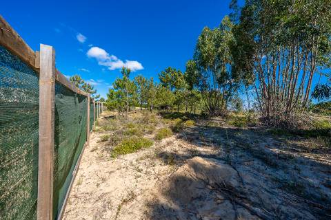 || Terreno para Loteamento | PIP Aprovado | AIRES - PALMELA ||