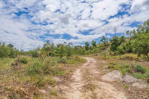 | TERRENO PARA CONSTRUÇÃO | COVAS DE COINA |