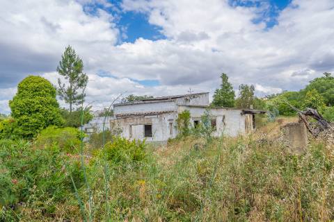 | TERRENO PARA CONSTRUÇÃO | COVAS DE COINA |