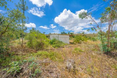 | TERRENO PARA CONSTRUÇÃO | COVAS DE COINA |