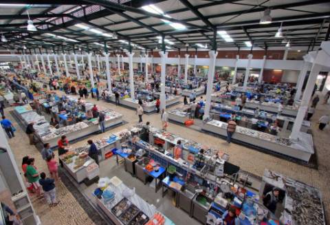 | ESCRITÓRIO | LOJA | AV. LUISA TODI | OPORTUNIDADE |