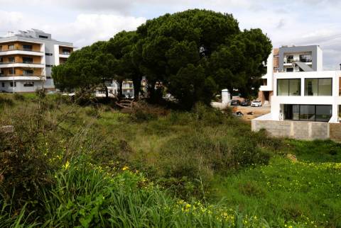 Baixa de Preço | TERRENO URBANO | MORADIA T3 | QUINTA DA AMIZADE