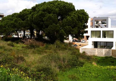 Baixa de Preço | TERRENO URBANO | MORADIA T3 | QUINTA DA AMIZADE