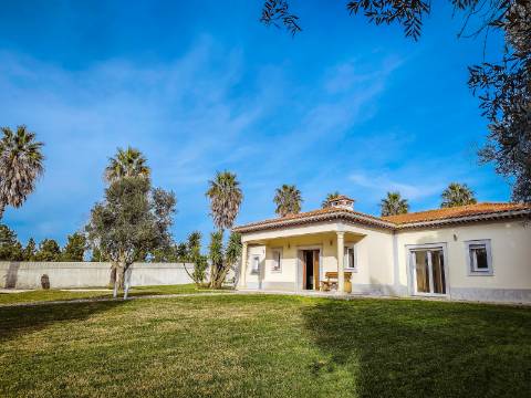 Moradia T6: Um Refúgio de Charme e Conforto para Viver Tranquilamente