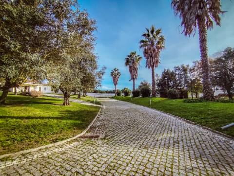 Moradia T6: Um Refúgio de Charme e Conforto para Viver Tranquilamente