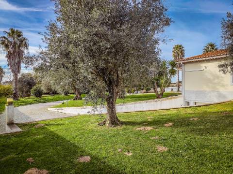 Moradia T6: Um Refúgio de Charme e Conforto para Viver Tranquilamente