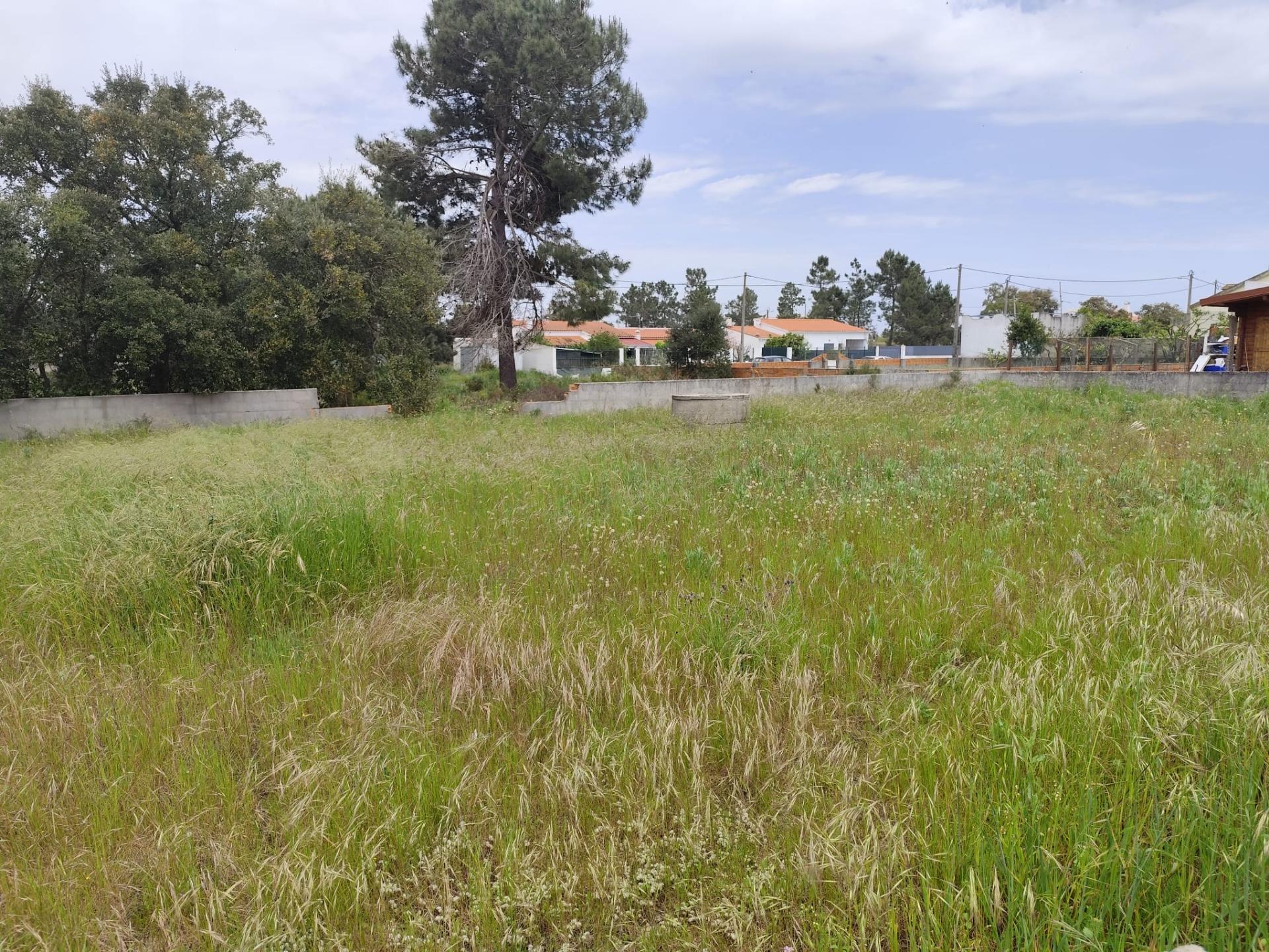 Lote de Terreno na Quinta do Anjo