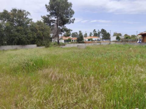 Lote de Terreno na Quinta do Anjo