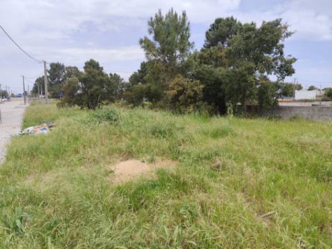 Lote de Terreno na Quinta do Anjo