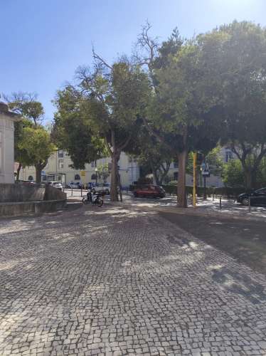 Oportunidade única na zona histórica da Estrela