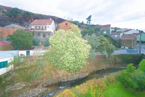 | Moradia T3 em Vale Figueira | Castelo Branco | Um refúgio onde a natureza dita o ritmo |