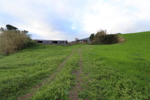 Terreno Agrícola em Água de Alto - Vila Franca do Campo