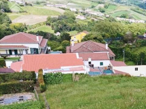 Conjunto de 3 Terrenos Rústicos de Cultura em Lomba do Cavaleiro na Povoação