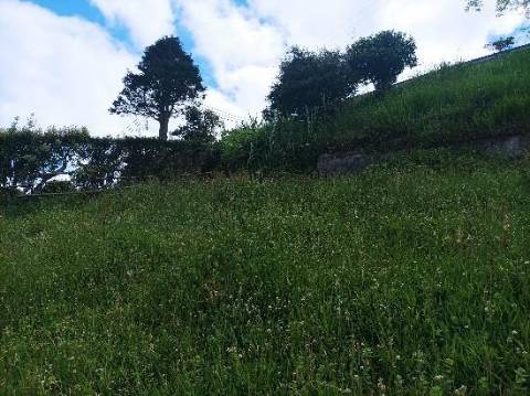 Conjunto de 3 Terrenos Rústicos de Cultura em Lomba do Cavaleiro na Povoação