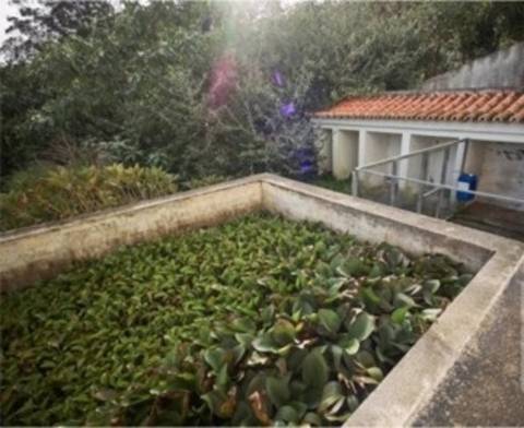 Edifício Misto de Habitação e Restaurante em Posto Santo Angra do Heroísmo