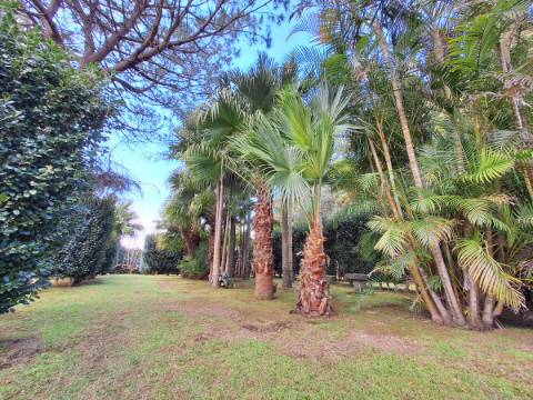 CASA DE CAMPO COM AMPLO JARDIM PARA AMANTES DA NATUREZA