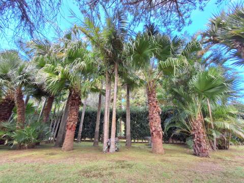 CASA DE CAMPO COM AMPLO JARDIM PARA AMANTES DA NATUREZA