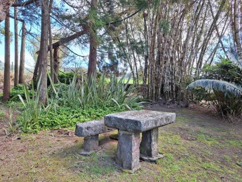 CASA DE CAMPO COM AMPLO JARDIM PARA AMANTES DA NATUREZA