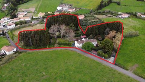 CASA DE CAMPO COM AMPLO JARDIM PARA AMANTES DA NATUREZA