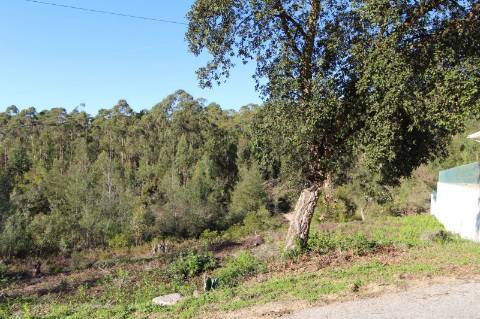 Terreno com 1375 m2, em Antanhol.