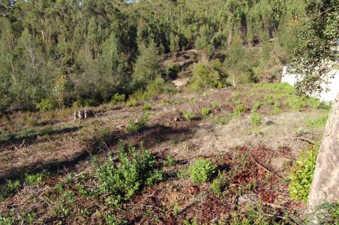 Terreno com 1375 m2, em Antanhol.