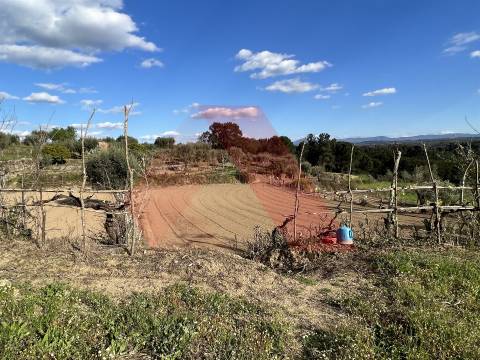 Terreno Rústico T0 Venda em Póvoa de Midões,Tábua