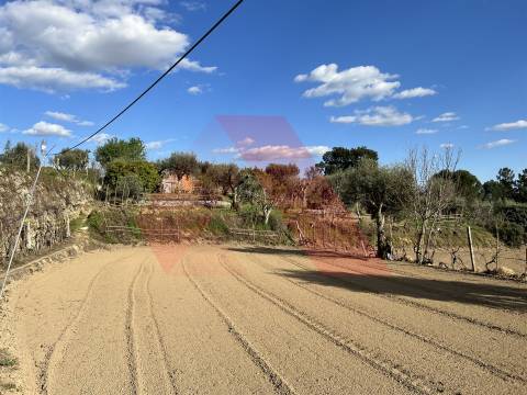 Terreno Rústico T0 Venda em Póvoa de Midões,Tábua